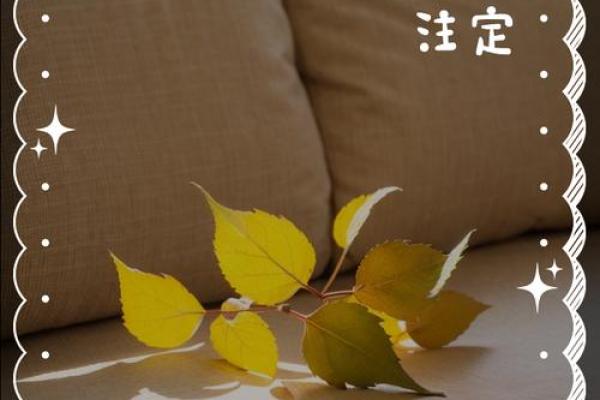 缘分是天注定姓名配对 缘份真的是天注定的-？