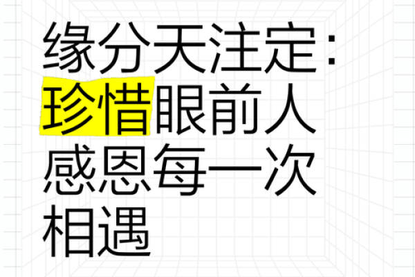 缘分是天注定姓名配对 缘份真的是天注定的-？