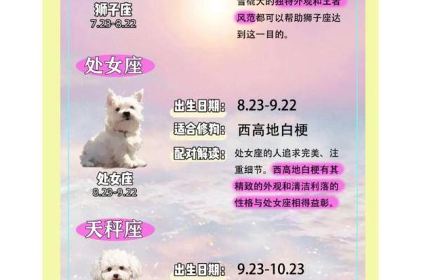 12星座适合养的什么狗