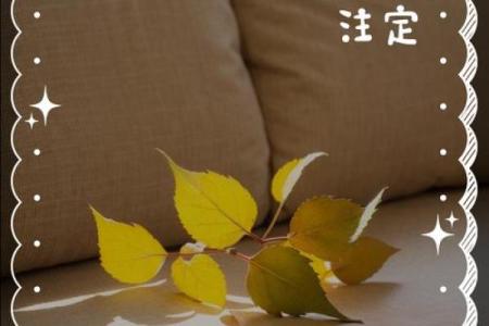 缘分是天注定姓名配对 缘份真的是天注定的-？