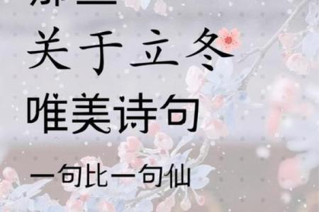 立冬的民俗活动 立冬的诗句