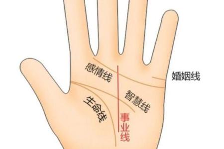 《手相学习百科》：手相看事业、职业