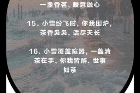 小雪节日文案 小雪节日的诗句