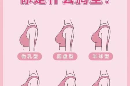 哪个星座女性的胸部较大
