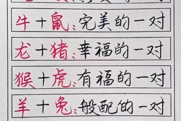 生肖配对真迹：十二生肖最佳配对大揭秘！