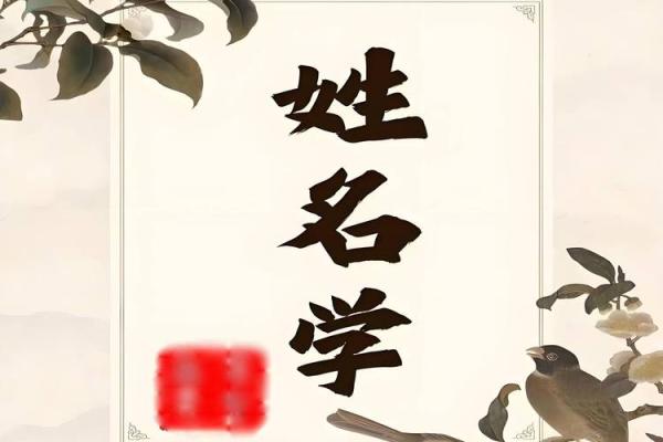 周易起名和八字起名的区别
