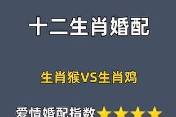 鸡跟什么生肖配对最好
