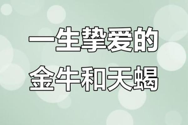 金牛和天蝎座配对指数高不高 在一起好么