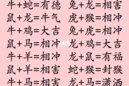 生肖配对真迹：十二生肖最佳配对大揭秘！