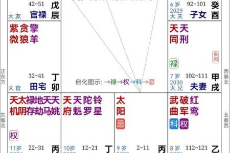 紫薇斗数看年纪