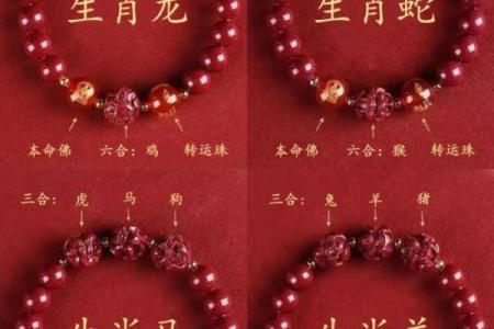 鸡跟什么生肖配对最好