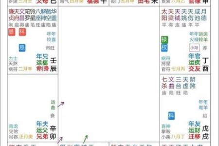 紫薇斗数富翁格局