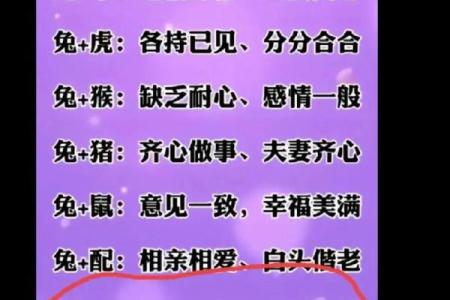 姓名缘分配对打分 姓名缘分配对打分免费？