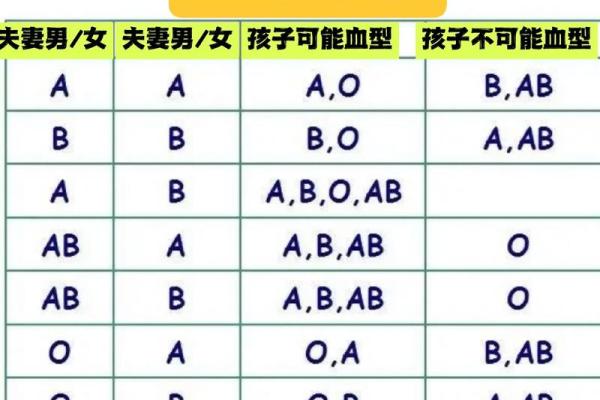 血型b+和b-是什么意思