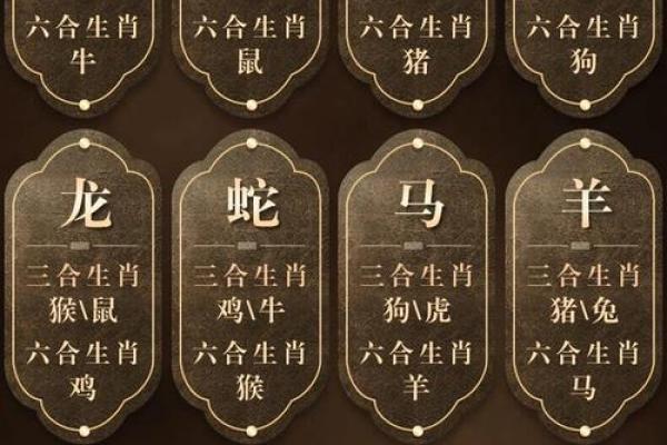 12生肖吉凶配对一览表