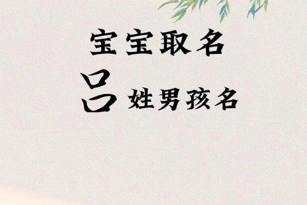 2019年4月2号子时出生的男孩如何起名姓名