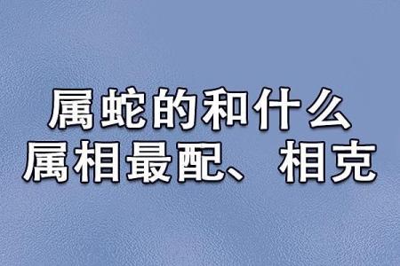 属蛇的男人应该与哪个生肖进行配对