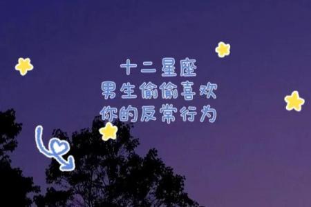 十二星座男偷偷喜欢你