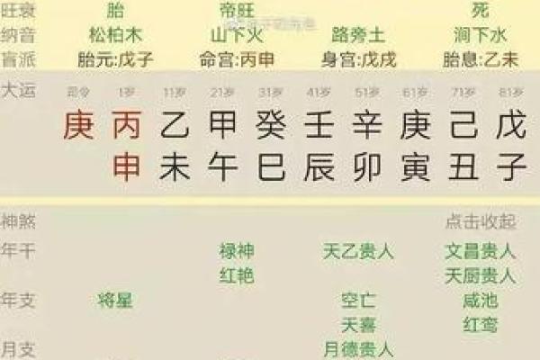 紫薇斗数中乾造