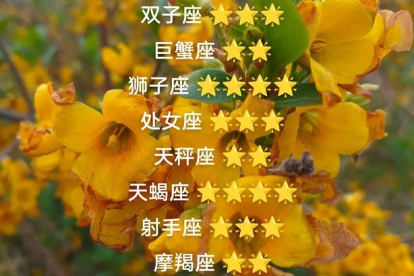 星座运势每日运程查询表