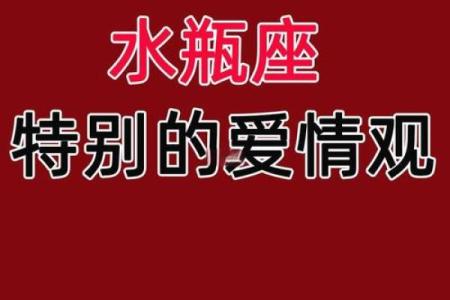 水瓶女和什么星座最适合谈恋爱