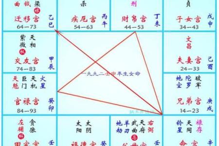 紫薇斗数子斗亥