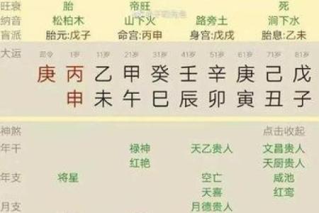 紫薇斗数中乾造