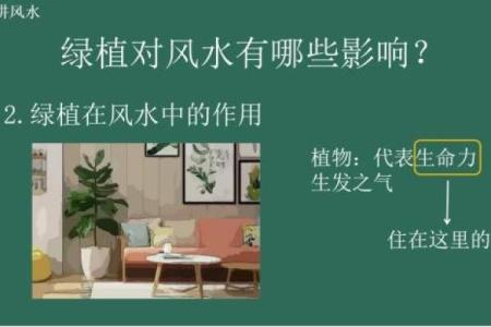 店铺风水有什么讲究对生意有一定影响