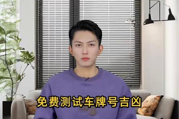 电动车牌号码吉凶测试