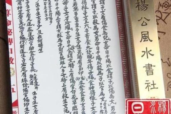 八字测算婚姻例一