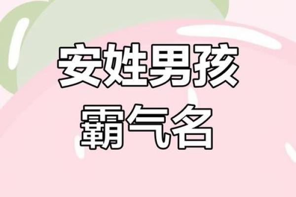 安姓男孩名字大全-安姓男孩起名字大全-安姓名字大全姓名