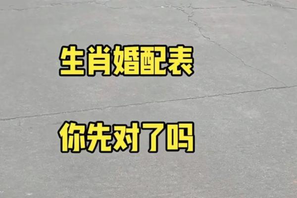 男91年羊和93年女鸡可婚配吗 91年羊男和93年鸡女是否适合婚姻配对