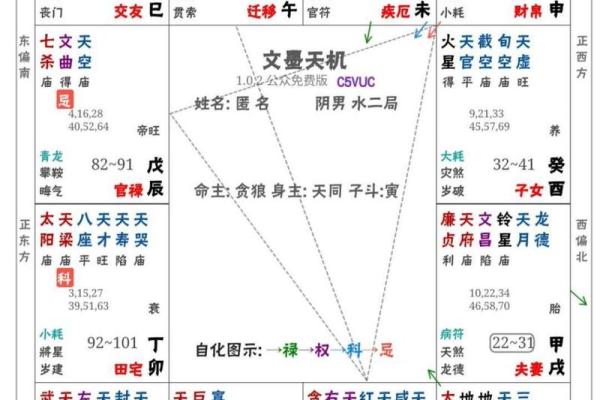 紫薇斗数贪狼在命宫