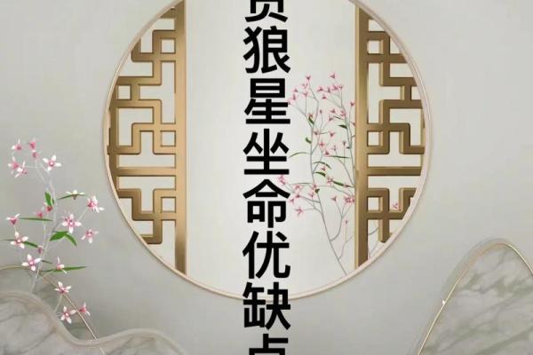 紫薇斗数贪狼在命宫