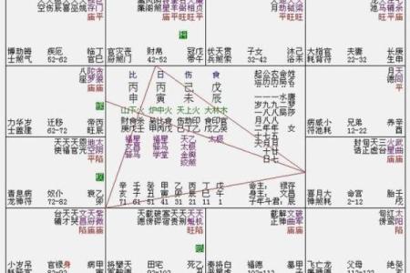 紫薇斗数旺平陷
