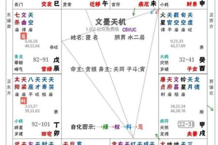 紫薇斗数贪狼在命宫