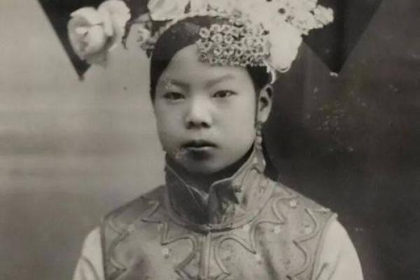 溥仪紫薇斗数