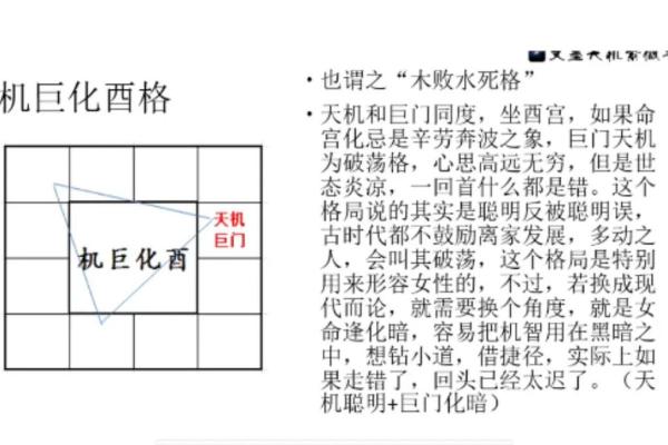 【紫微斗数】排盘技巧016:特殊格局的分析 【紫微斗数】排盘技巧016:特殊格局的分析