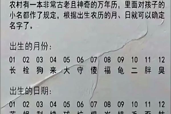 姓爱的名人-姓名学-华易算命网姓名
