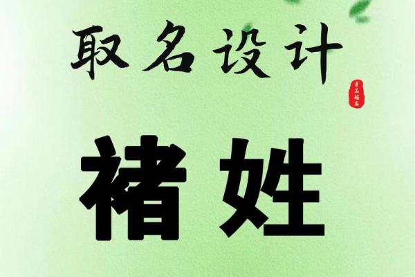姓爱的名人-姓名学-华易算命网姓名