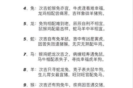 属相配对指数