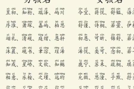 2019年4月2号辰时出生的男孩应该起什么样的名字姓名