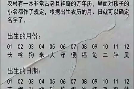 姓爱的名人-姓名学-华易算命网姓名
