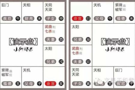 紫微斗数之夫妻宫与诸星，七杀星在夫妻宫是什么意思？
