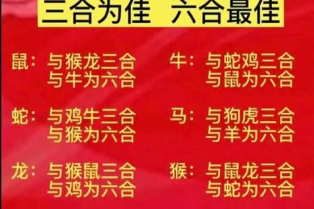 家破人亡的生肖配对在一起