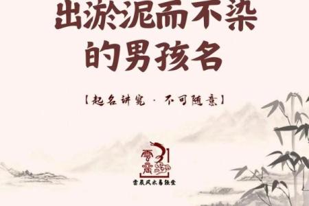 2019年3月30号酉时出生的男孩起名方法姓名