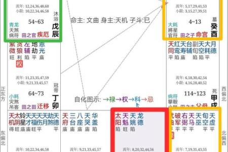 紫薇斗数养母养大