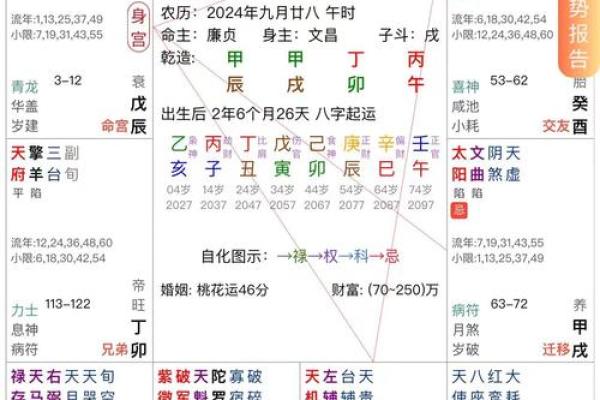 知否科技紫薇斗数