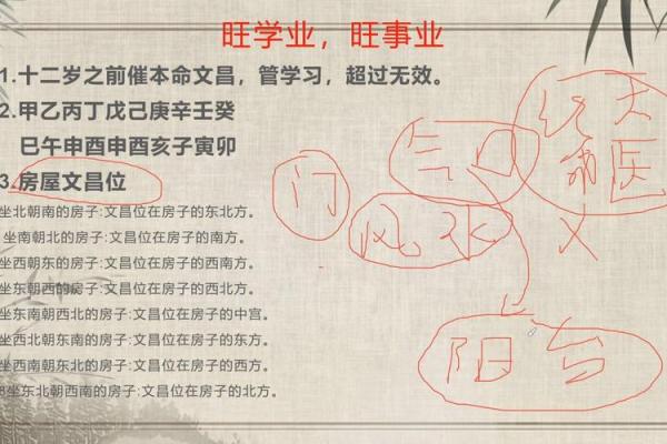 紫薇斗数文昌科