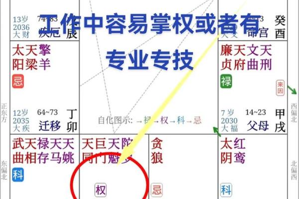 紫微斗数任务在哪接 紫微斗数引导任务？